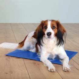 Mata chłodzaca dla psa, 90 × 50 cm, niebieska
