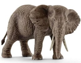 Schleich 14761 słoń Afrykański samica