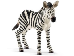 Schleich 14811 Mała Zebra