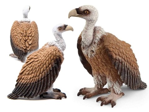 Schleich 14847 Sęp Wild Life Figurka