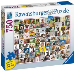 Ravensburger Puzzle 2D Duży Format: 99 uroczych piesków 750 elementów 16939