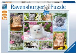 Ravensburger Puzzle 2D: Kociaki w koszykach 500 elementów 14196