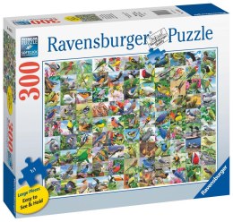 Ravensburger Puzzle 2D duży format: 99 zachwycających ptaków 300 elementów 16937