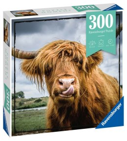 Ravensburger Puzzle Momenty 300 elementów Szkocka krowa 13273