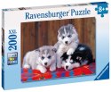 Ravensburger Puzzle dla dzieci 2D: Husky 200 elementów 12823