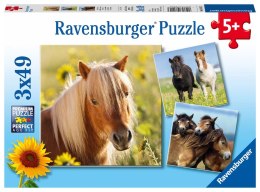 Ravensburger Puzzle dla dzieci 2D: Konie 3x49 elementów 8011