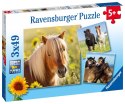 Ravensburger Puzzle dla dzieci 2D: Konie 3x49 elementów 8011