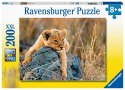 Ravensburger Puzzle dla dzieci 2D: Mały lew 200 elementów 12946