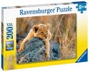 Ravensburger Puzzle dla dzieci 2D: Mały lew 200 elementów 12946