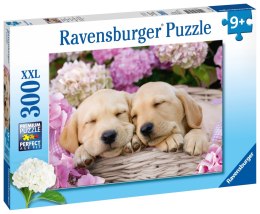 Ravensburger Puzzle dla dzieci 2D: Pieski 300 elementów 13235