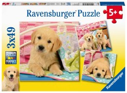 Ravensburger Puzzle dla dzieci 2D: Psi Patrol. Kosmiczne Pieski 2 3x49 elementów 8036