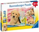 Ravensburger Puzzle dla dzieci 2D: Psiaki 3x49 elementów 8065