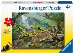 Ravensburger Puzzle dla dzieci 2D: Zwierzęta z lasu tropikalnego 60 elementów 5166