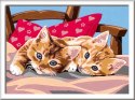 CreArt dla dzieci (seria D): Dwa słodkie kotki 28938