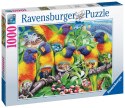 Ravensburger Puzzle 2D 1000 elementów: Kraina Lorikeet 16815