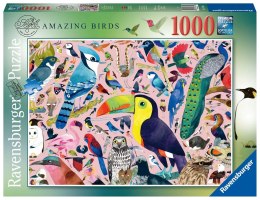 Ravensburger Puzzle 2D 1000 elementów: Matt Sewell's Wspaniałe ptaki 16769