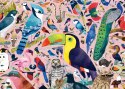 Ravensburger Puzzle 2D 1000 elementów: Matt Sewell's Wspaniałe ptaki 16769