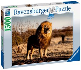 Ravensburger Puzzle 2D 1500 elementów: Lew 17107