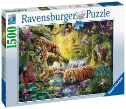 Ravensburger Puzzle 2D 1500 elementów: Spokojne tygrysy 16005