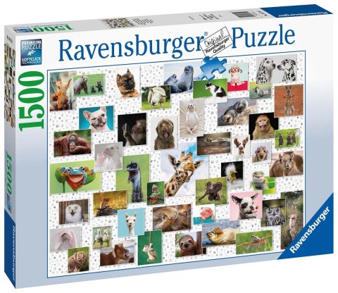 Ravensburger Puzzle 2D 1500 elementów: Zabawne zwierzaki 16711