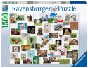 Ravensburger Puzzle 2D 1500 elementów: Zabawne zwierzaki 16711