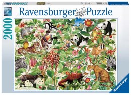 Ravensburger Puzzle 2D 2000 elementów: Dżungla 16824