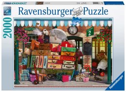 Ravensburger Puzzle 2D 2000 elementów: Podrożujące światło 16974