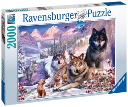 Ravensburger Puzzle 2D 2000 elementów: Wilki w śniegu 16012