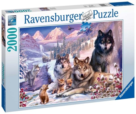 Ravensburger Puzzle 2D 2000 elementów: Wilki w śniegu 16012