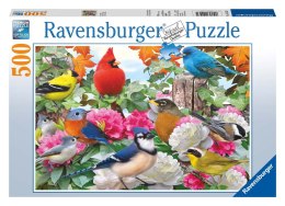 Ravensburger Puzzle 2D: Ptaki ogrodowe 500 elementów 14223