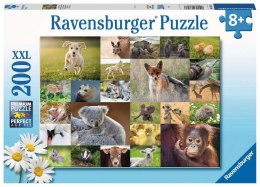 Ravensburger Puzzle dla dzieci 2D: Tygrysiątka 200 elementów 13353