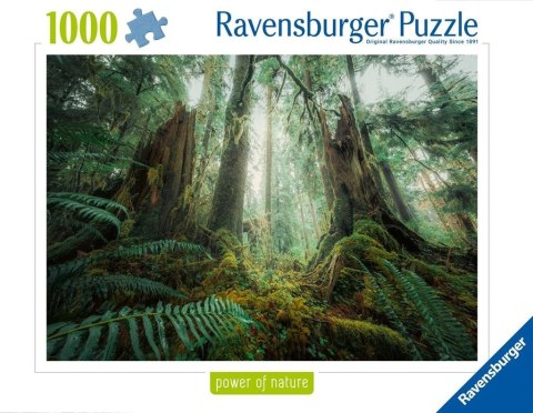 Puzzle 1000 Lasy