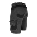 spodenki robocze letnie do pasa l.Hollman Factor