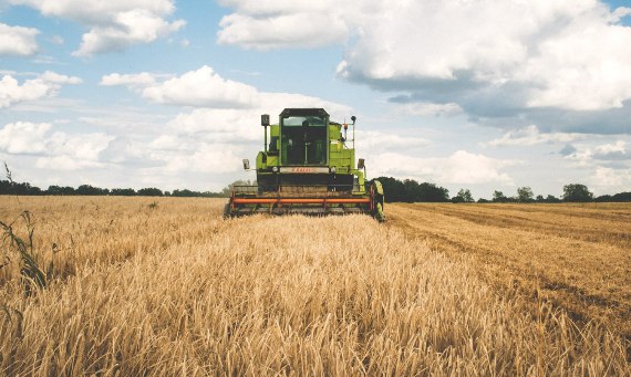 BHP w rolnictwie - Jakie są wymagania i przepisy bhp w rolnictwie?